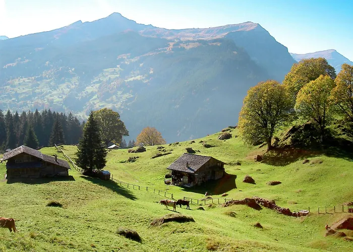 An Der Egg By Interhome * Grindelwald